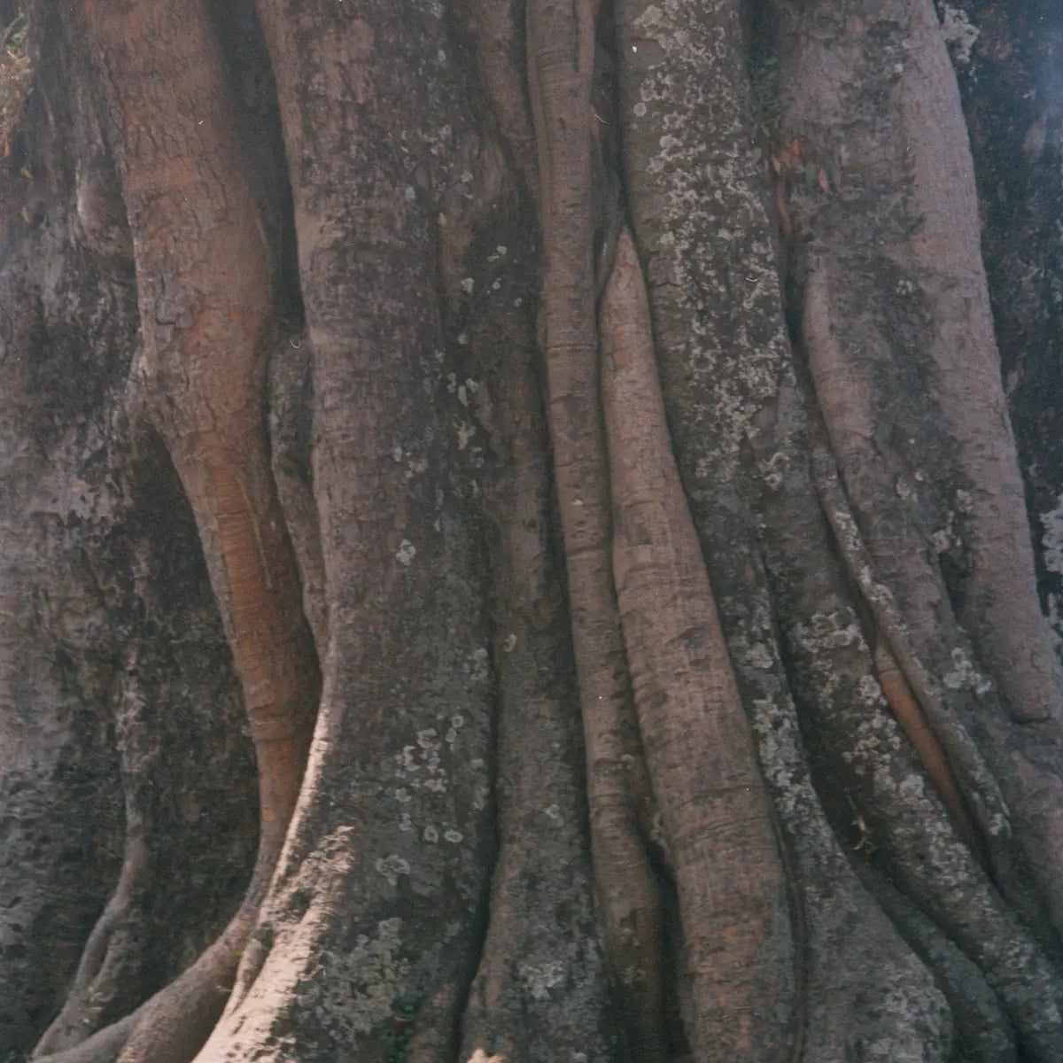 Hranice – korene vzťahu s Janou Zemandl