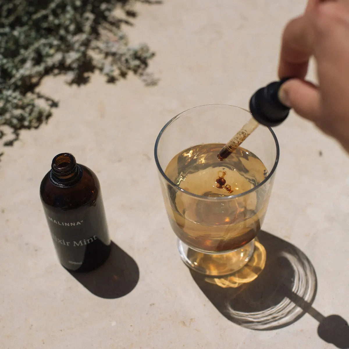 Antioxidačný nápoj na podporu imunity a vitality organizmu – Elixir Mint.