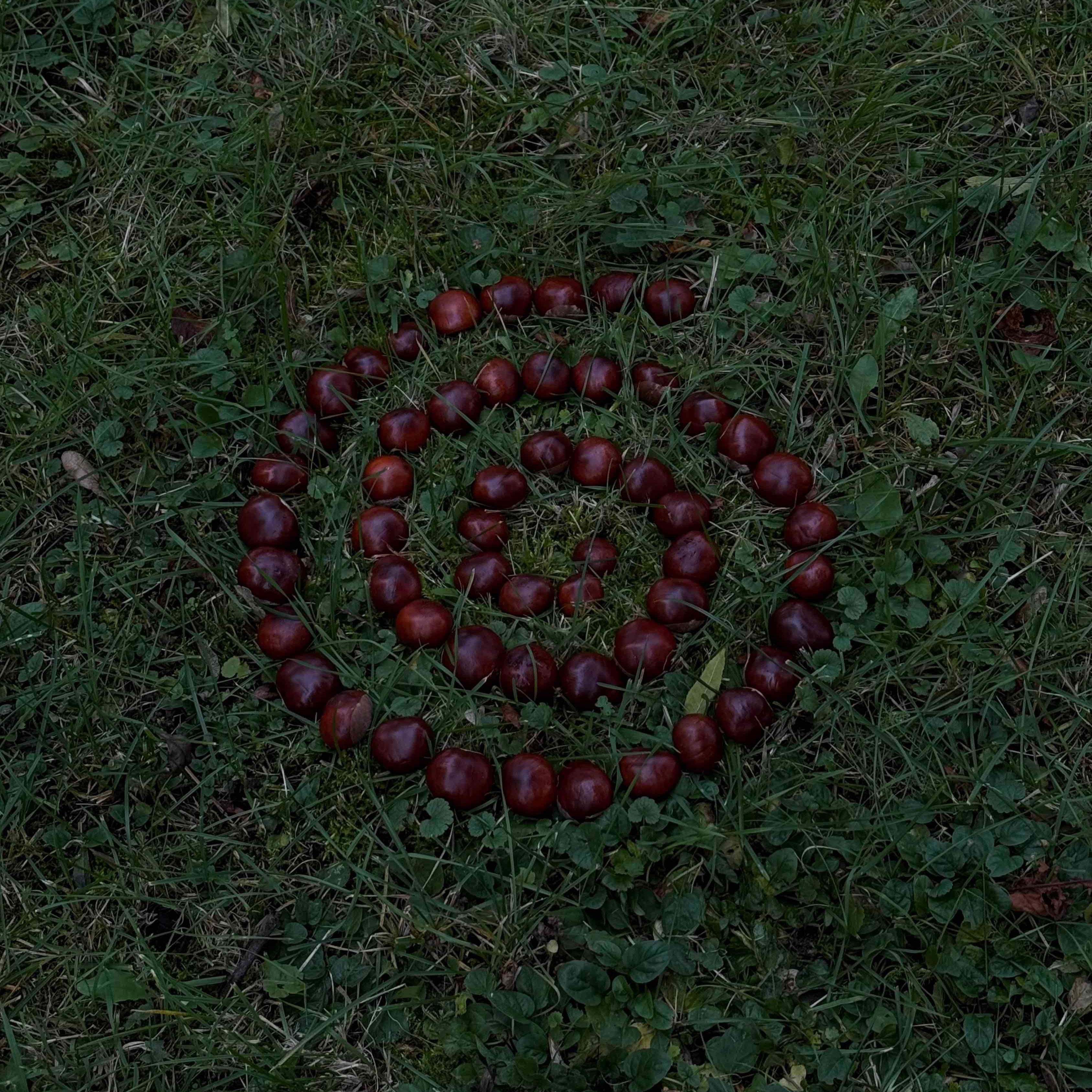 Imunita podľa LiviaHeleen